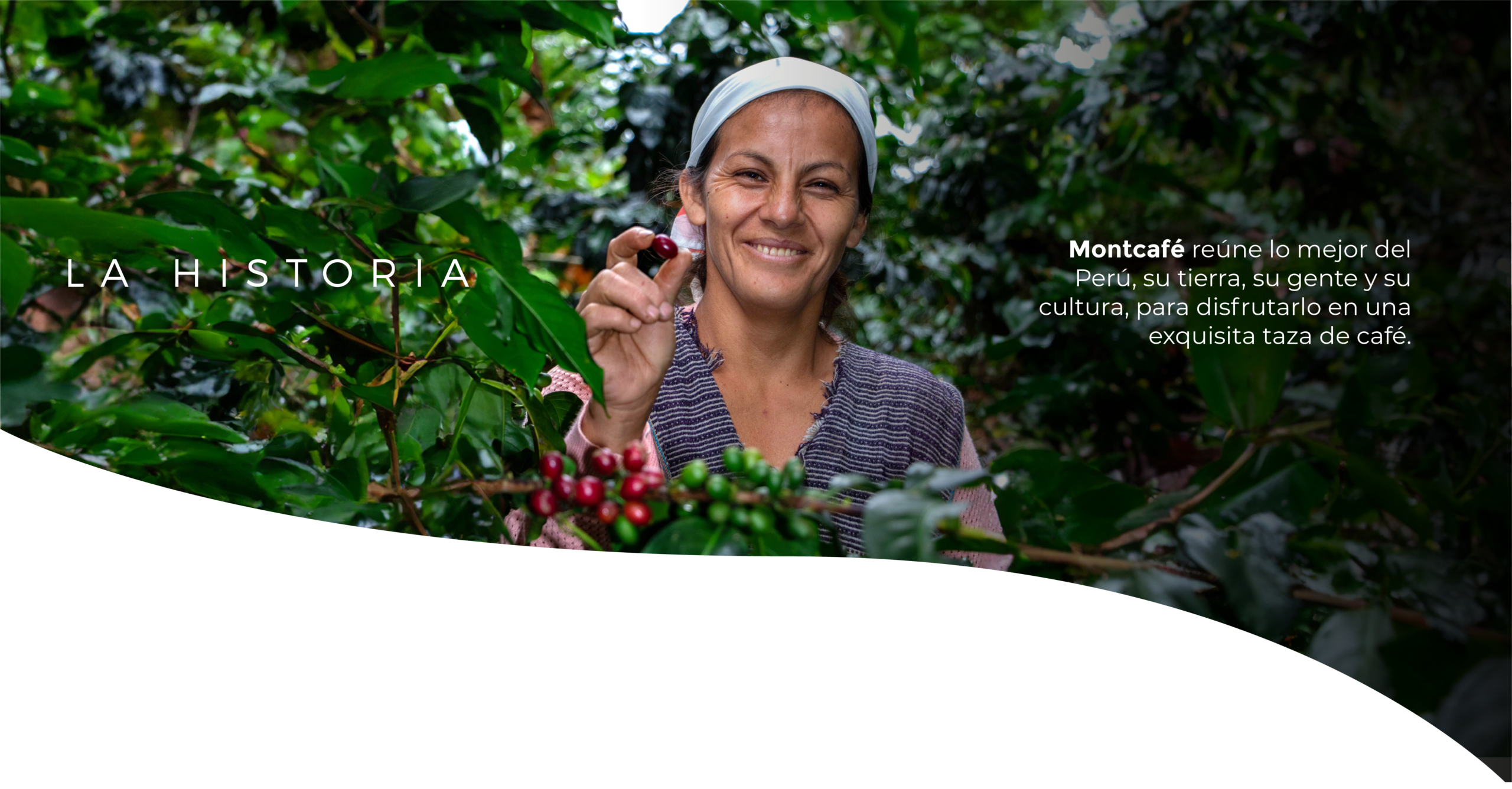 ALTA HISTORIA 05 scaled